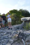 Dolmens du bois des Géandes