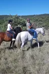 Balades à cheval et école d'équitation à la Ferme équestre Le Relais de Vazeille