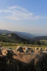 Vue panoramique - Table d'orientation de Mézilhac