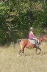 Promenade équestre à poney ou à cheval - Centre équestre Les Combes