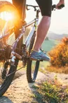 Electric bike and mountainbike rental - Face Sud