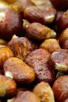 Raphaël Maignien, chestnut grower