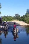 Cours, stages et compétitions au Centre équestre l'Hippocampe