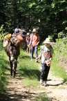 Randonner avec ''Les ânes de Farfara''