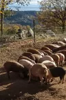 La Ferme du Chazalet