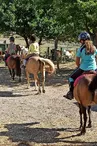 Balades à poneys avec l'Ecurie des quatre Soleils