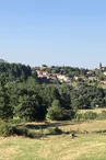 Fromage de chèvres "picodons"