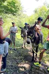 À la Bosse des ânes - Chasse au trésor "Sur le chemin des ânes"