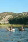 Traversée à cheval de rivières