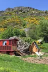 Roulotte en bois dans un écrin de nature