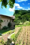 Ferme du Bouveironnet