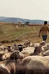 La Ferme des Vallées