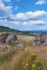 Randonnée avec ânes à la journée