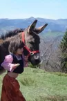 Balade avec les ânes bâtés du Coudoulet