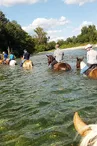 Randonnée Équestre Accompagnée - Equitation Chavetourte