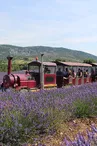 Maison de la Lavande Ardèche / Producer-Distiller & Museum