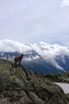 Réserve naturelle des Aiguilles Rouges