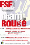 cham en rouge 2022.jpg