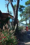 Camping de Mindin - Camping Qualité