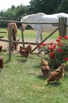 "La Ferme au Colombier" monument historique