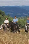 Ferme équestre des Ribières_1