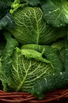 savoy-cabbage-3860933_1280