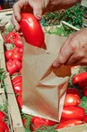 Marché traditionnel