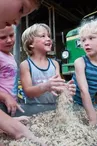 Camping à la ferme du Domaine de Royères_1