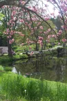 pisciculture du moulin authier coussac bonneval_1