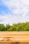 Wooden board empty table in front of blurred background. Perspective brown wood table over blur trees in forest background - can be used mock up for display or montage your products. spring season.