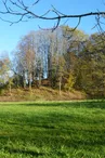 Motte castrale et fossé de Puy Archer, dit Châteauvieux à La Porcherie_1