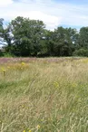 Marais de Chamborêt_1