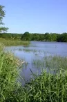 Etang de Murat.
Crédit photo : CREN_1