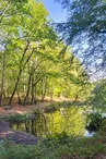 Terra aventura Forêt des Loges