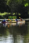 Riviere_la_Mayenne-Menil-CP-Pascal_BELTRAMI_-_Mayenne_Tourisme