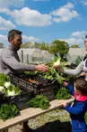 le potager de Gaël