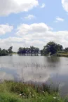 VIGNE ET ETANGS DE LA MORINIERE