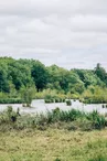 Marais de Montreuil-Juigné