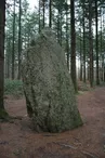 Menhir Vras Camors Morbihan Bretagne-sud