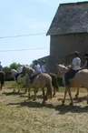 ferme-equestre-mont-cruchet-ruillé-en-champagne-72