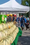 Marché de La Suze-sur-Sarthe